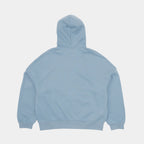Bluebird | Back