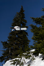 Cougar Milk | Lifestyle Snow