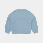 Bluebird | Back