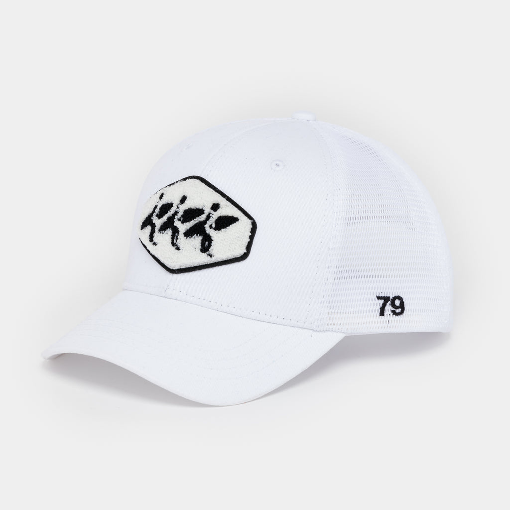 Surfer Trucker