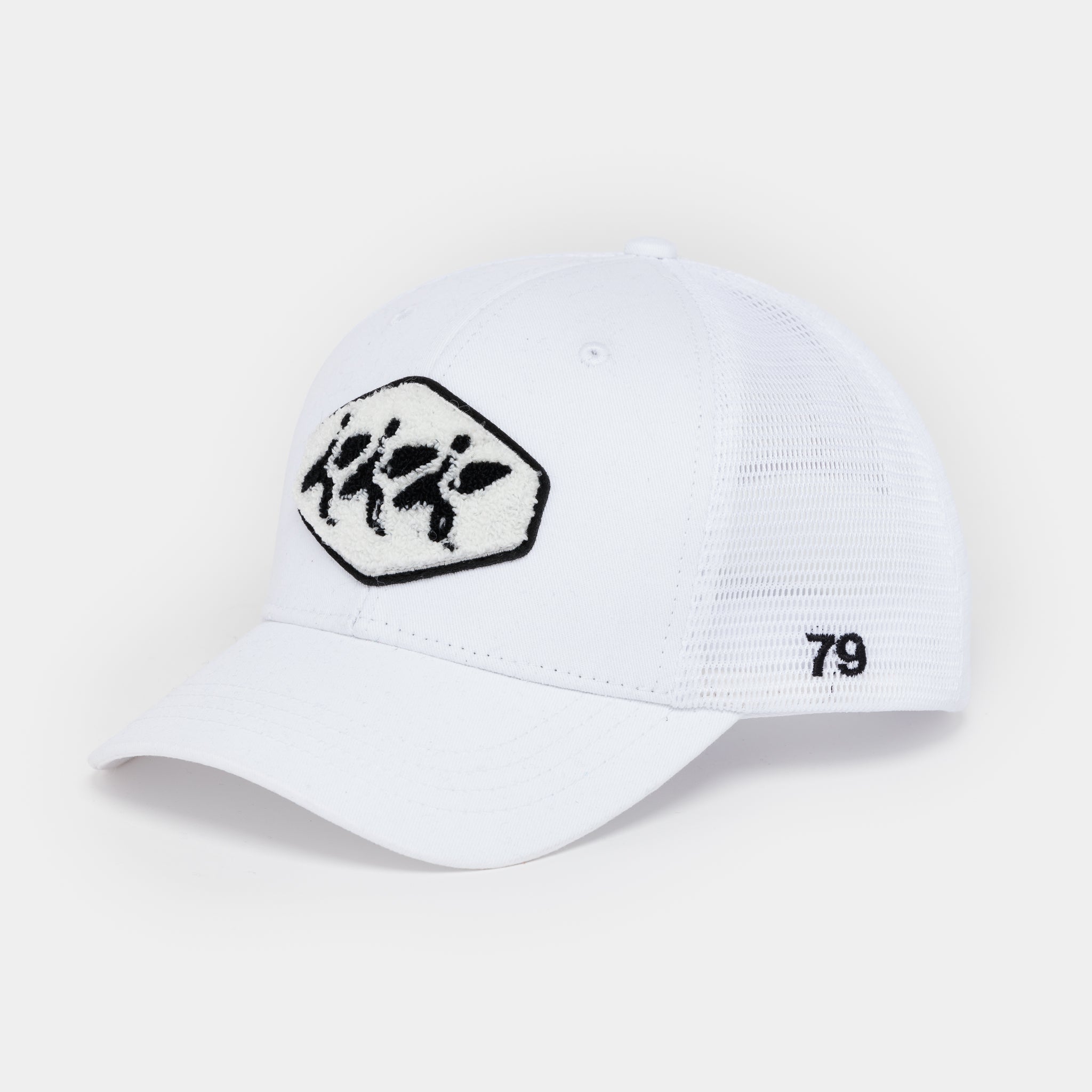 Surfer Trucker
