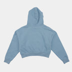 Bluebird | Back